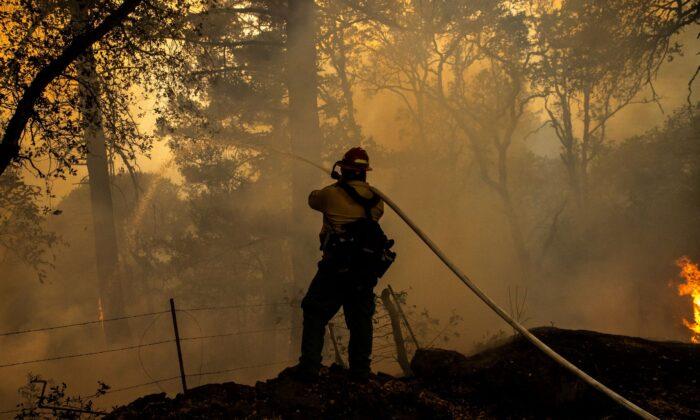 US Proposes Big Increase in Forest Management to Tackle Wildfires