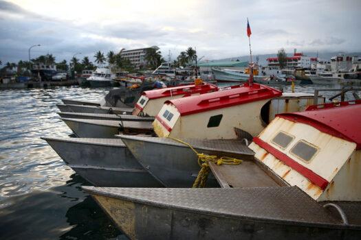 Fishing boats moored near the Apia Fish Market in Apia, Samoa on September 13, 2015. (Mark Kolbe/Getty Images)