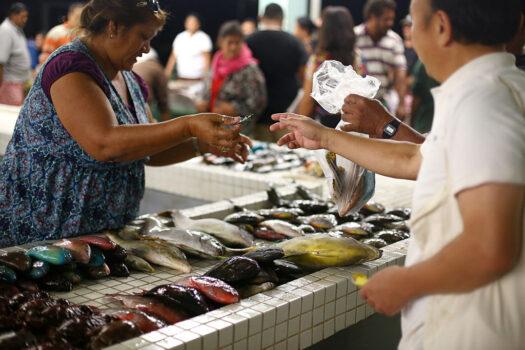 A general view is seen as a local buys fish from a vendor during Sunday morning trading at the Apia Fish Market in Apia, Samoa on September 13, 2015 (Mark Kolbe/Getty Images)
