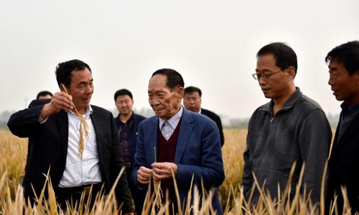 Top Chinese Scientist Yuan Longping Dies