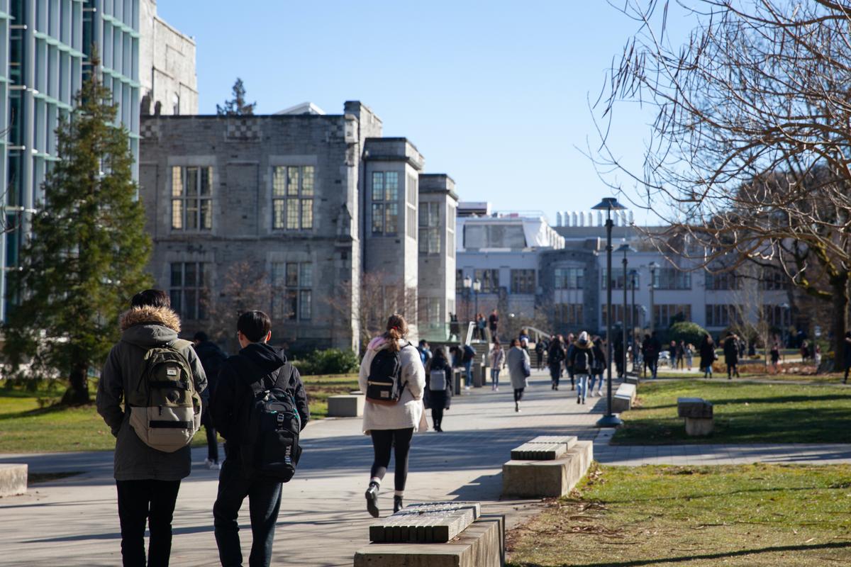 Canadian Students’ Decline in Writing, Thinking Skills Amid Rise of Ideological Education Worries Profs