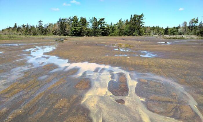 Arsenic Legacy in Lake Bottom Sediments From Historic N.S. Mine Worries Researcher
