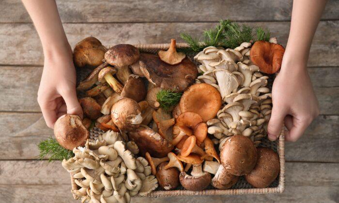 Eat These Mushrooms to Live Longer