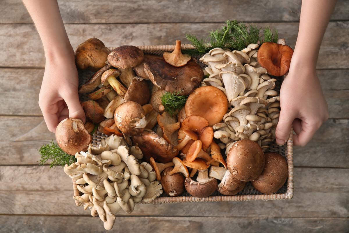 Eat These Mushrooms to Live Longer