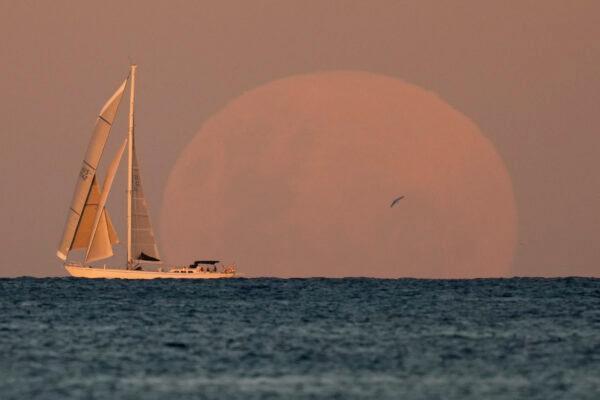 A yacht sails past as the moon rises in Sydney, on May 26, 2021. (Mark Baker/AP Photo)