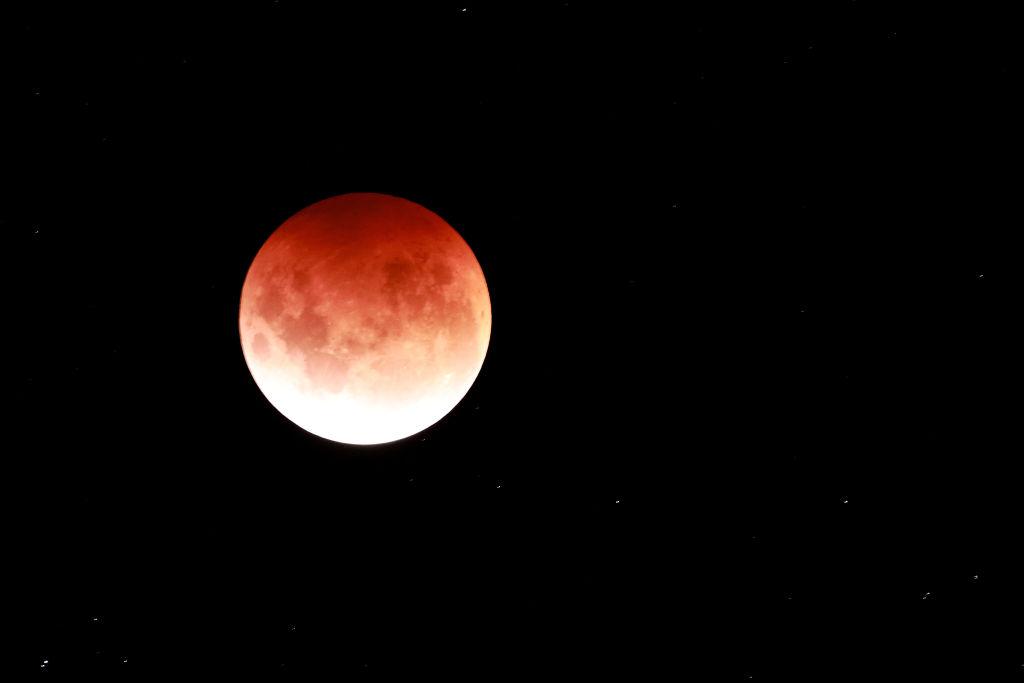 A total eclipse of the Moon on May 26, 2021 in Auckland, New Zealand. (Phil Walter/Getty Images)