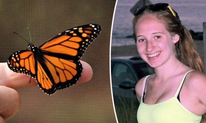 Butterfly Visits Dad After Daughter’s Death, Inspires Him to Raise Monarchs in Her Memory