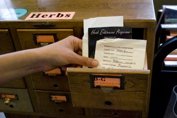 Seed libraries are often boxes that resemble the wall-attached or stand-alone free book libraries, yet some communities get creative. Richmond Grows' uses an old library card catalog for housing its seeds in Richmond, Calif. (Michelle Sixta)