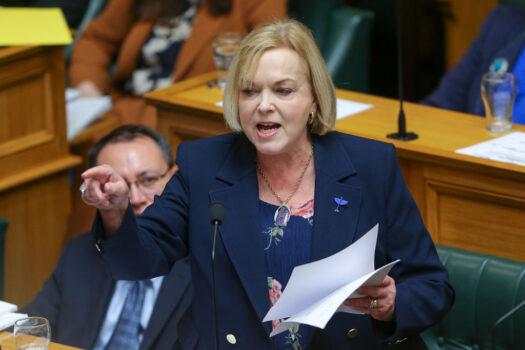 National Party leader Judith Collins speaks during budget day 2021 at Parliament on May 20, 2021, in Wellington, New Zealand. (Hagen Hopkins/Getty Images)