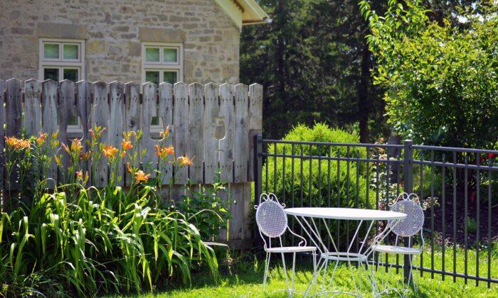 6 Tips to Save Money in the Yard and Garden
