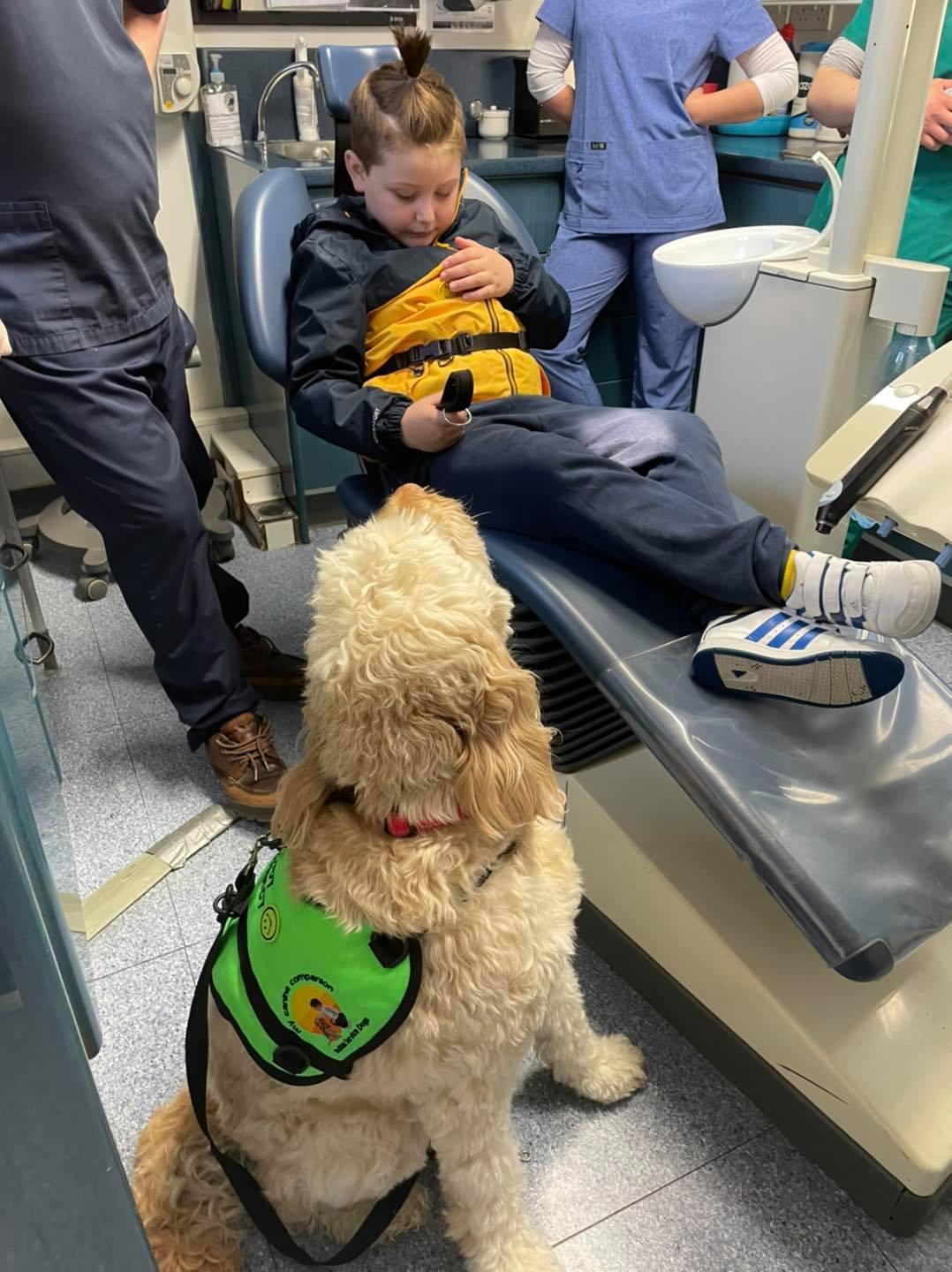 Riley, 7, with his autism service dog, Willow, during his first visit to the dentist on May 28. (Courtesy of <a href="https://www.facebook.com/myboyblue2017/">Nicole Duggan</a>)