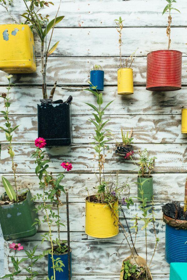 Old coffee cans, can be painted and given new life as a planter, that can be hung from a wall or ceiling. (Bernard Hermant/Unsplash)