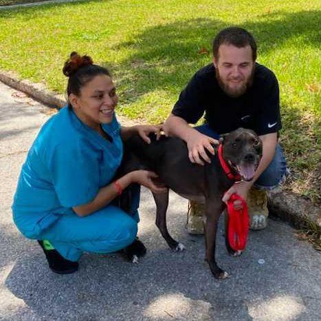 (Courtesy of <a href="https://www.facebook.com/humanesocietytampa">Humane Society of Tampa Bay</a>)