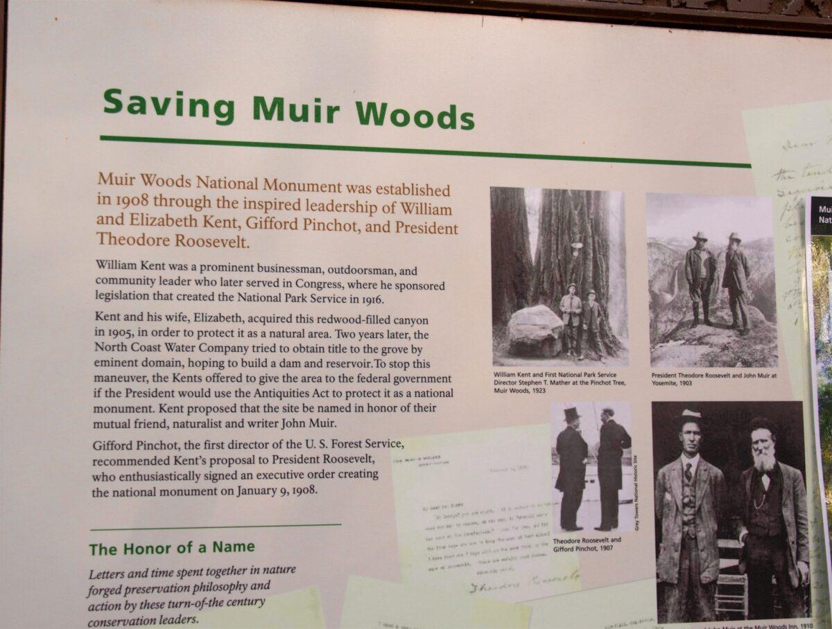 Original sign about the history of Muir Woods. (Courtesy of Karen Gough)