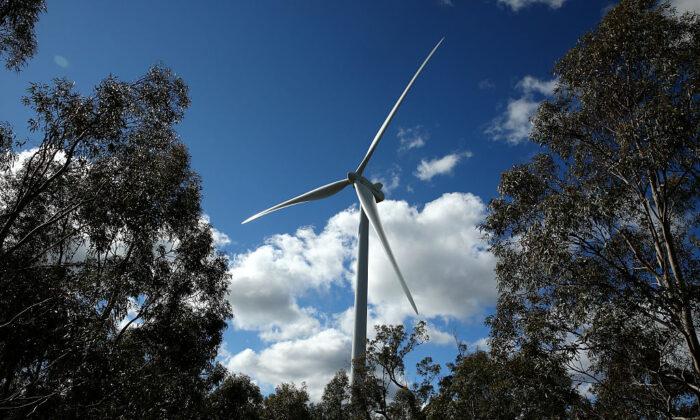 Woolworths Turns to Wind Power to Blow a Hole in Carbon Emissions