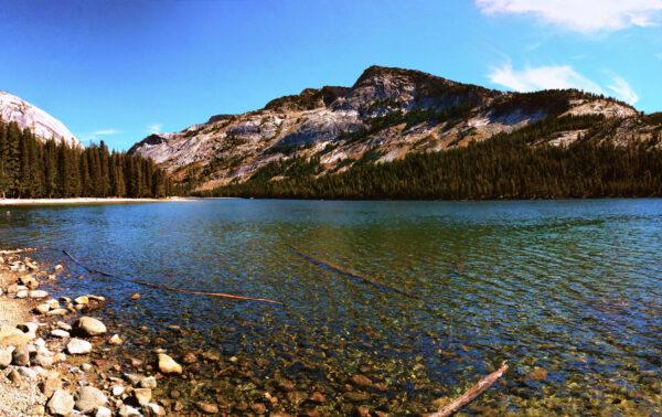 Tenaya Lake is a glacially carved alpine lake at an elevation of 8,150 feet in Yosemite’s high country.