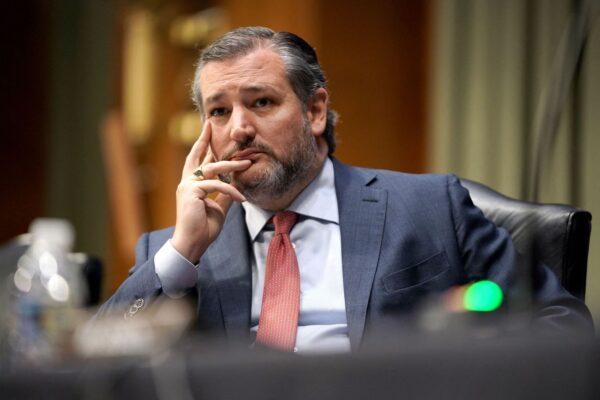 Sen. Ted Cruz (R-Texas) at a Senate hearing on Capitol Hill in Washington on March 23, 2021. (Greg Nash/Pool/AFP via Getty Images)