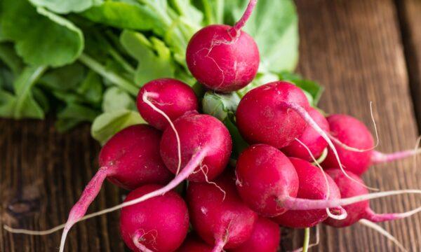 In-season radishes stand out like bright bunches of candy. (HandmadePictures/shutterstock)