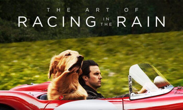 Popcorn & Inspiration: ‘The Art of Racing in the Rain’: A Cosmic Canine and Life Lessons