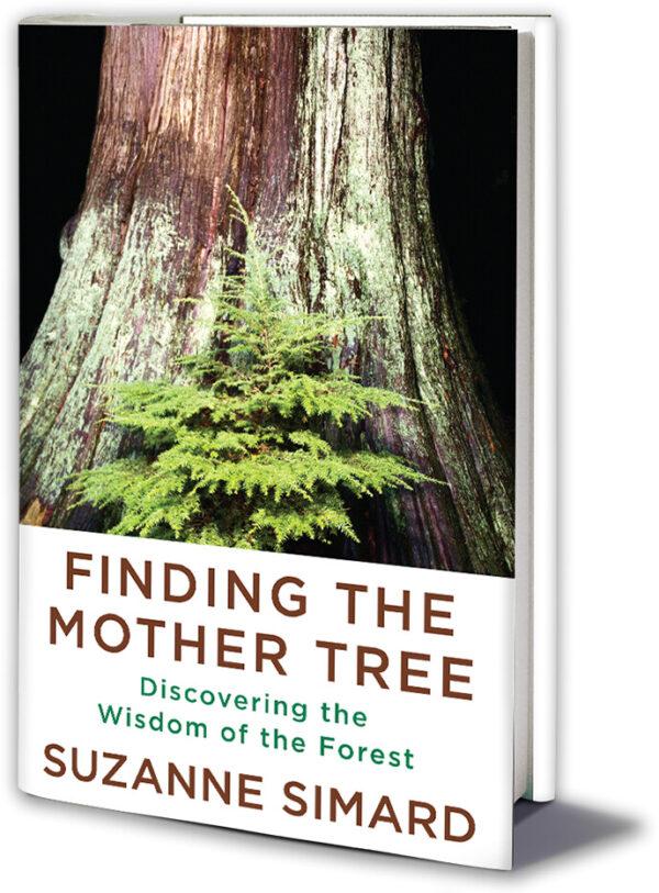 Cover of Suzanne Simard's recently released memoir. (Mother Tree Project)