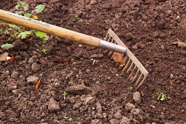 Gently work in some organic compost to enrich your new garden’s soil. (Dean Moriarty/Pixabay)
