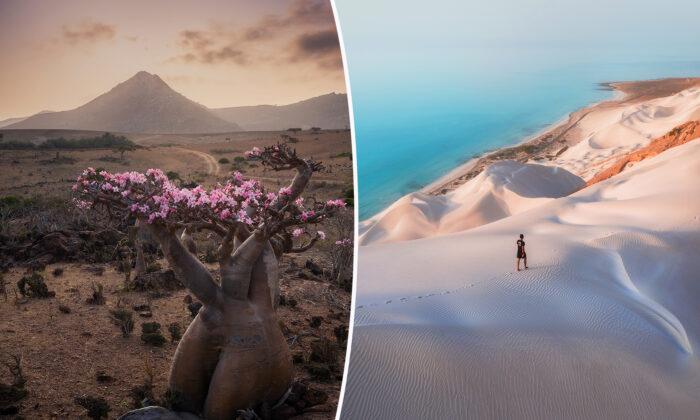 ‘One of the Most Stunning Places on the Planet’: Photographer Captures Surreal Landscapes on Socotra Island