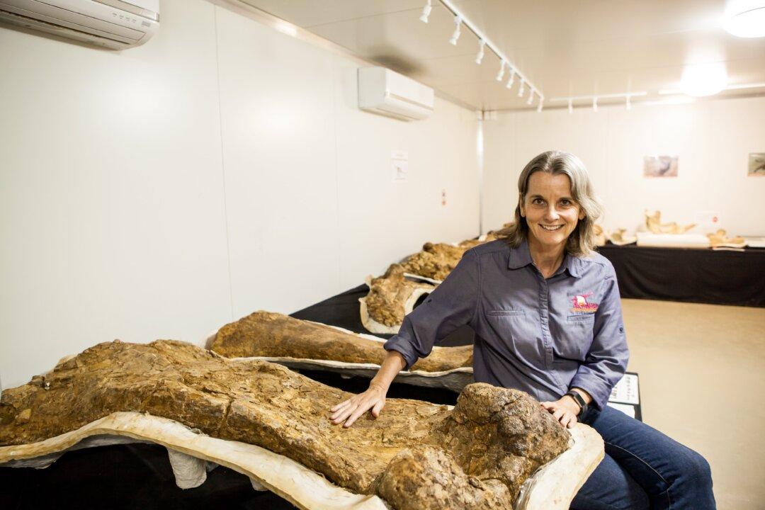 Australia’s Largest Dinosaur Discovered in Southwest Queensland