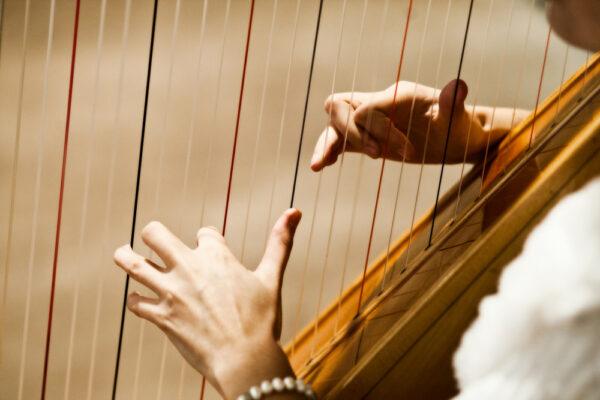 Harp strings are color-coded. (Oleksiy Avtomonov /Shutterstock)
