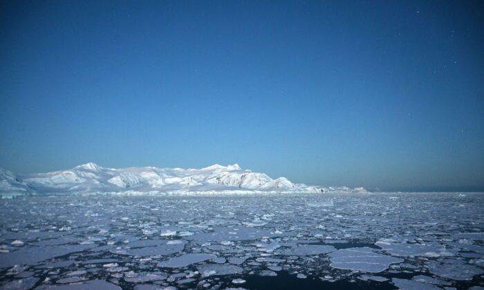 Scientists Floored as Seals Hit New Antarctic Depths