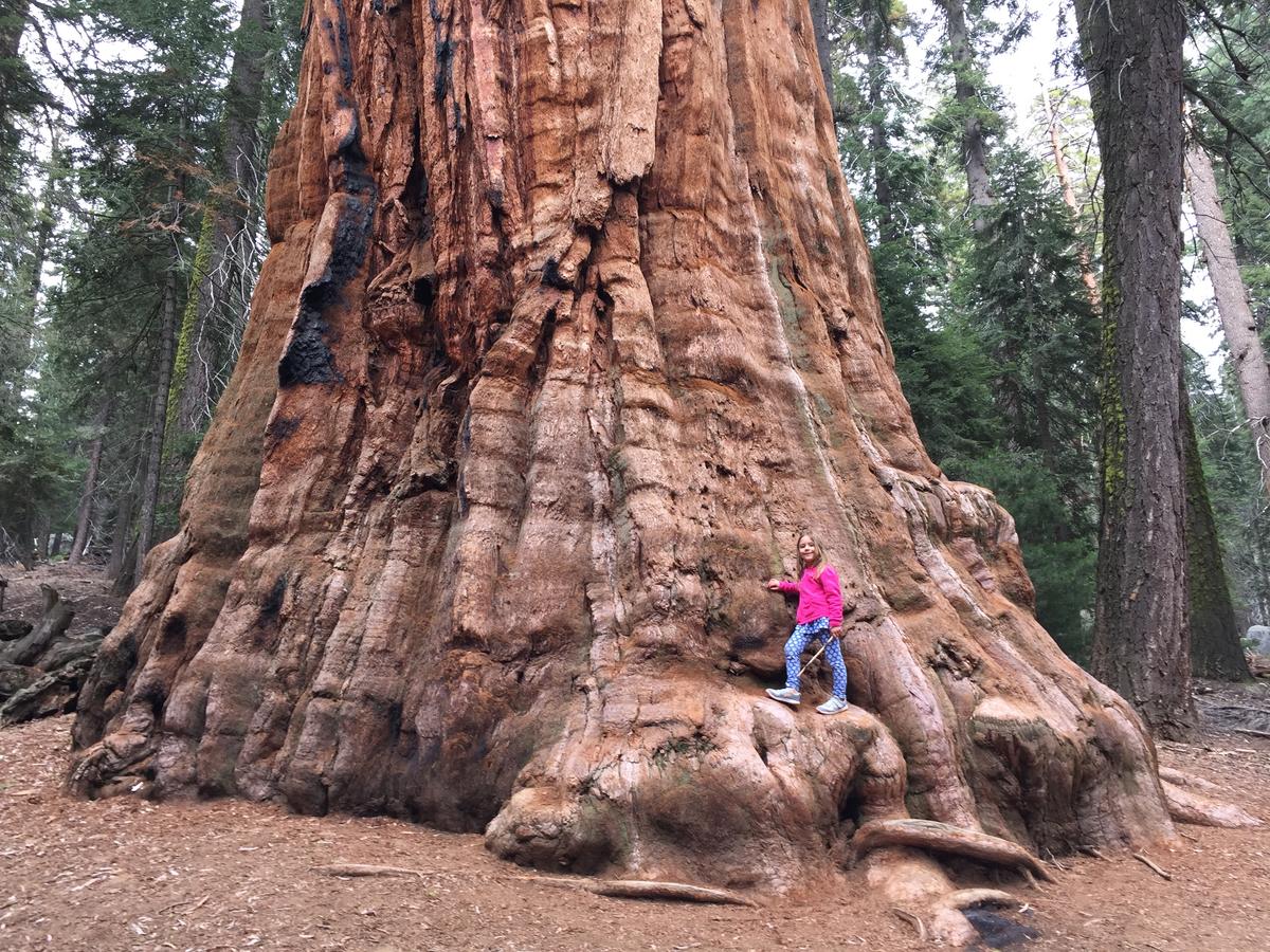 The Experience of Freedom