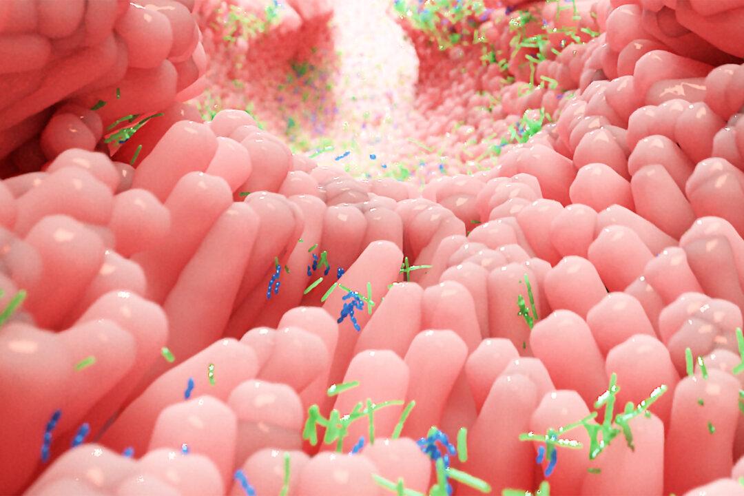 An Intro to Small Intestinal Bacterial Overgrowth