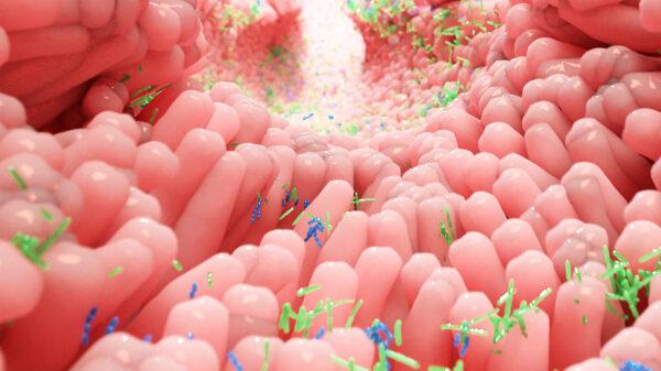 <span class="caption">Lactic acid bacteria can digest the sugar lactose and produce lactic acid as a byproduct. </span>(Alpha Tauri 3D Graphics/Shutterstock)