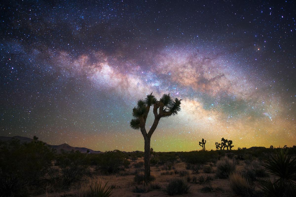 The Milky Way over Joshua Tree National Park, California. (Gary Cummins/Caters News)
