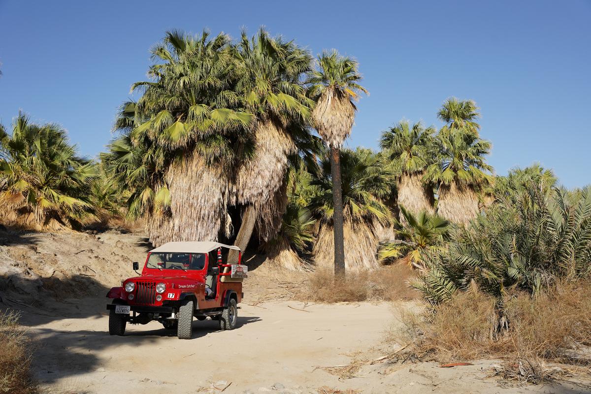 Exploring Metate Ranch, a private preserve, on a jeep tour with Desert Adventures. (Janna Graber)