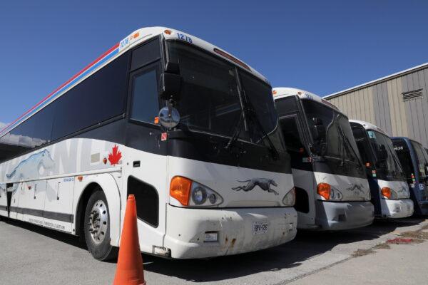 Idle Greyhound buses are parked at a depot in Toronto, Ontario, Canada, after the transportation company announced that it had permanently closed its service in Canada on May 13, 2021. (Chris Helgren/Reuters)