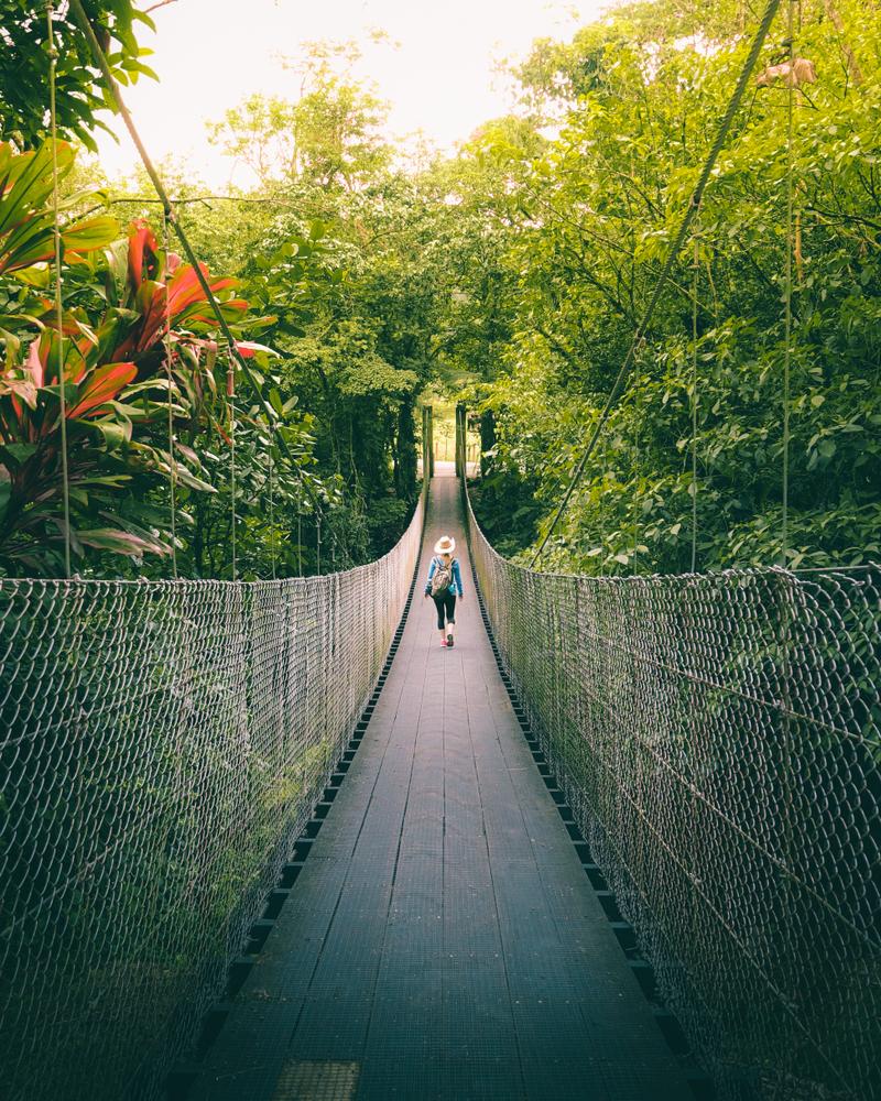 A woman walks on a bridge at canopy level. (frozenblizzard/Shutterstock)