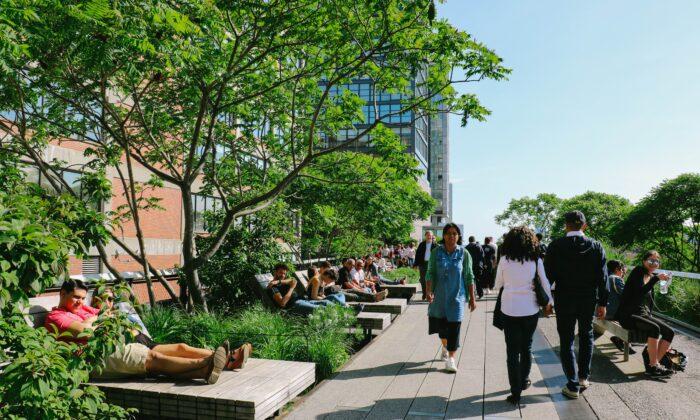 Nature Can Boost Health of People in Cities