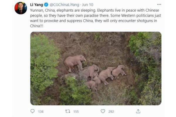 An undated screenshot of the Twitter account of Li Yang, the Chinese consul general in Rio de Janeiro, Brazil. (Li Yang/Twitter via Liberty Times)