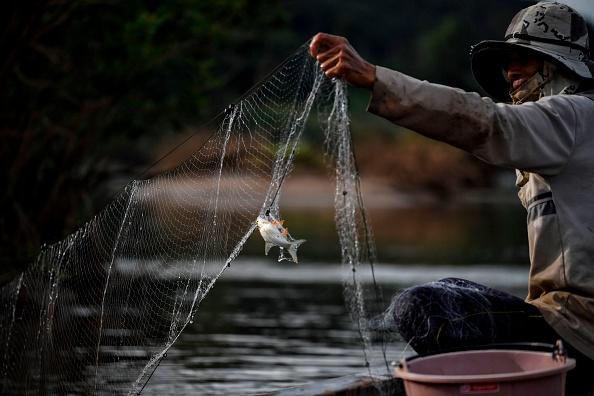 A fisherman checks his net along the Mekong River at Sangkhom District, in the northeastern Thai province of Nong Khai, on Oct. 31, 2019. (Lillian Suwanrumpha/AFP via Getty Images)