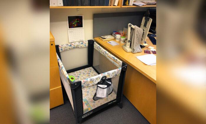 College Professor Posts Photo of New ‘Lab Equipment’ for Grad Student With New Baby—and It Goes Viral
