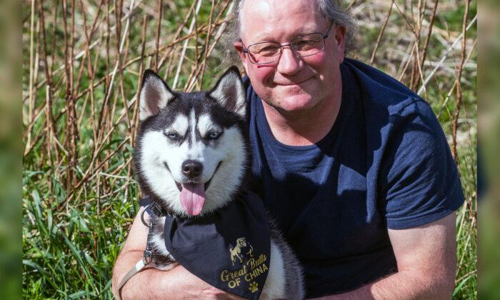 A Couple Sacrificed Getting a New Kitchen to Rescue Siberian Husky From Chinese Meat Trade