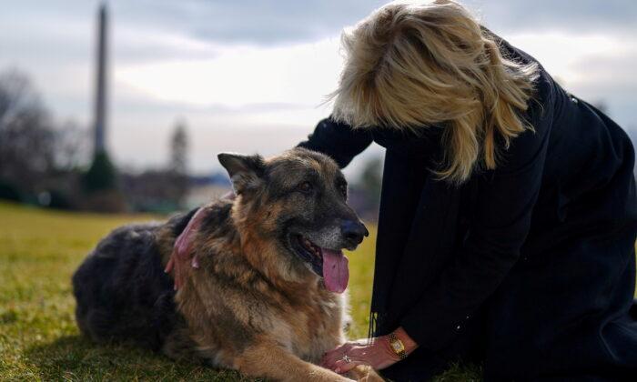 Bidens Announce Death of ‘First Dog’ Champ