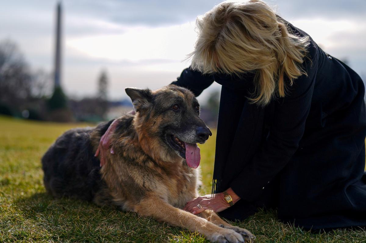 Bidens Announce Death of ‘First Dog’ Champ