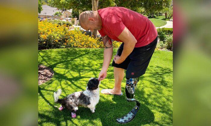 Double Amputee Dog Rescued From Abusive Home Adopted by Police Officer Who Lost Leg in Crash