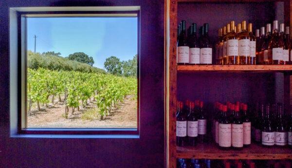 A window in the tasting room at the Austin Hope Winery looks out over the vineyard. (Courtesy of Jim Farber)