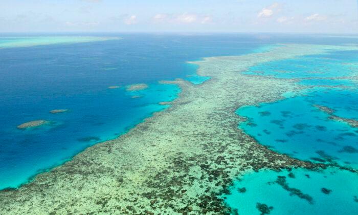 Australia: UN Recommending Great Barrier Reef Be Listed ‘In Danger’ Is Politically Motivated