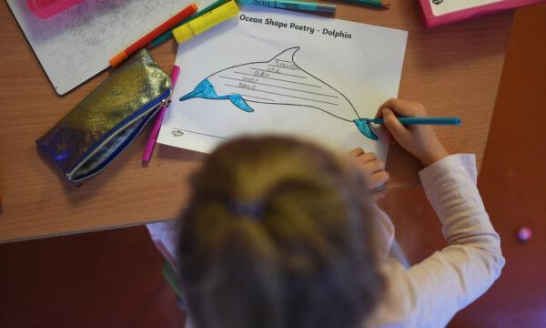 A Year 1 pupil colours a dolphin poetry worksheet while conforming to social distancing rules in a classroom during a lesson at the College Francais Bilingue De Londres French-English bilingual school in north London on June 2, 2020. (Daniel Leal-Olivas/AFP via Getty Images)