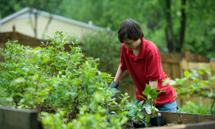Weathering Life’s Storms by Rooting Children in a Garden