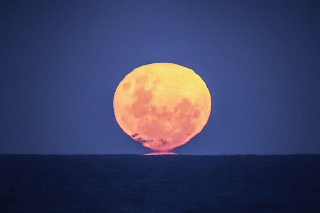 ‘Strawberry Moon’ on June 24 Will Be the Last Supermoon of 2021—Here’s What You Need to Know: