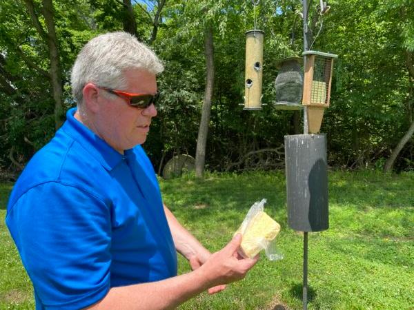 Anthony Rothering, professor of biology at Lincoln Land Community College in Springfield, Illinois, shows suet (mixture of beef fat, seeds and apple chunks) that he places in a bird feeder on campus. He suggests that people using suet in bird feeders in the summertime use more heat-resistant types of suet because of the potential for melting. (Tamara Browning)